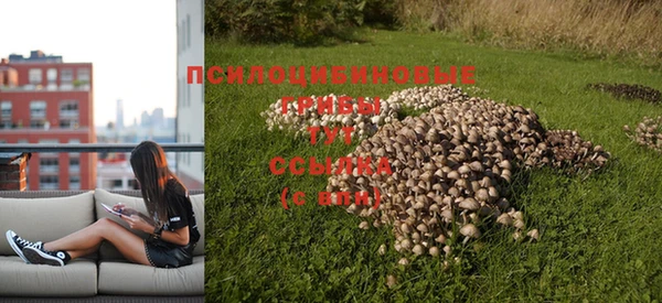 кокс Балабаново