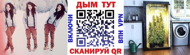 Бошки марихуана VHQ  где найти наркотики  KRAKEN сайт  Волхов 